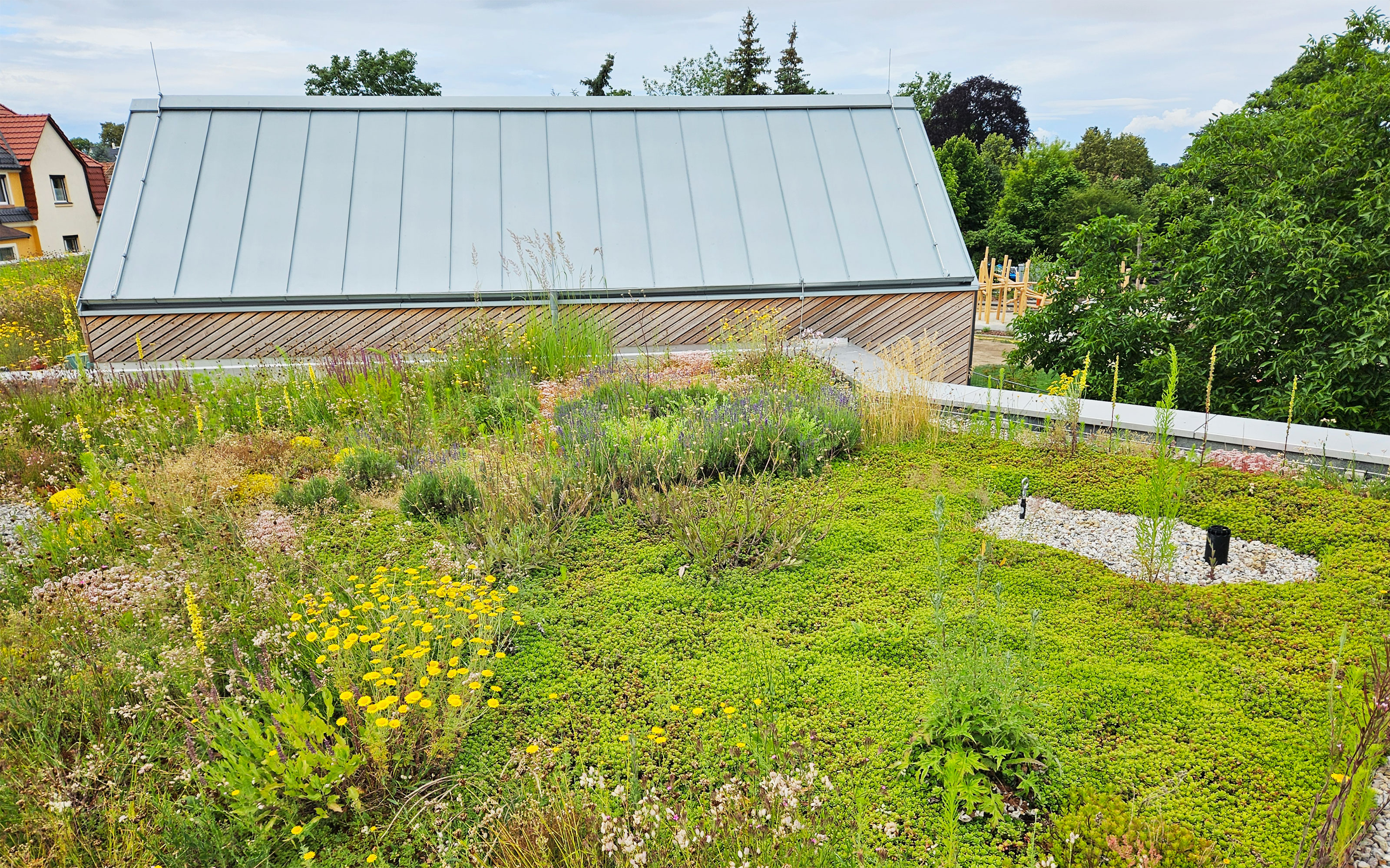 Biodiversitäts-Gründach von oben