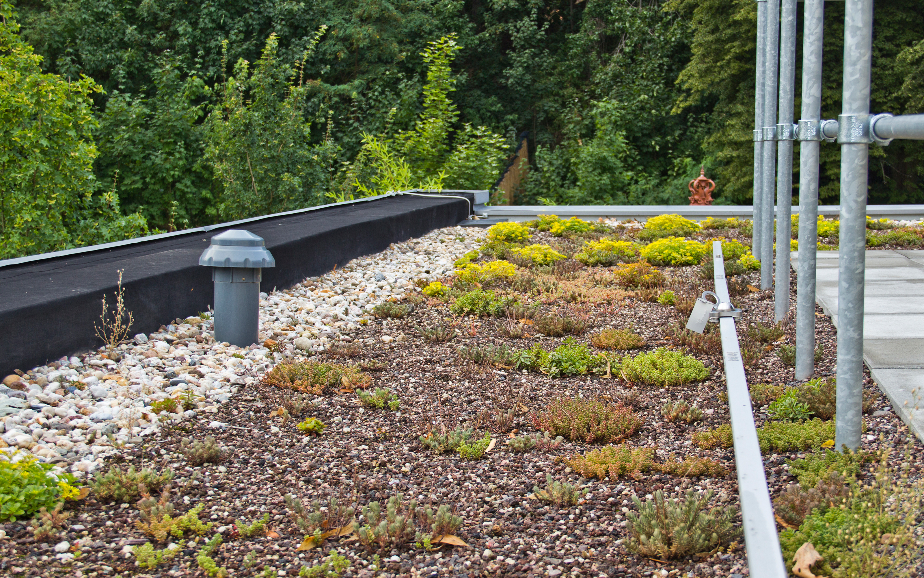 Dachbegrünung mit Absturzsicherung