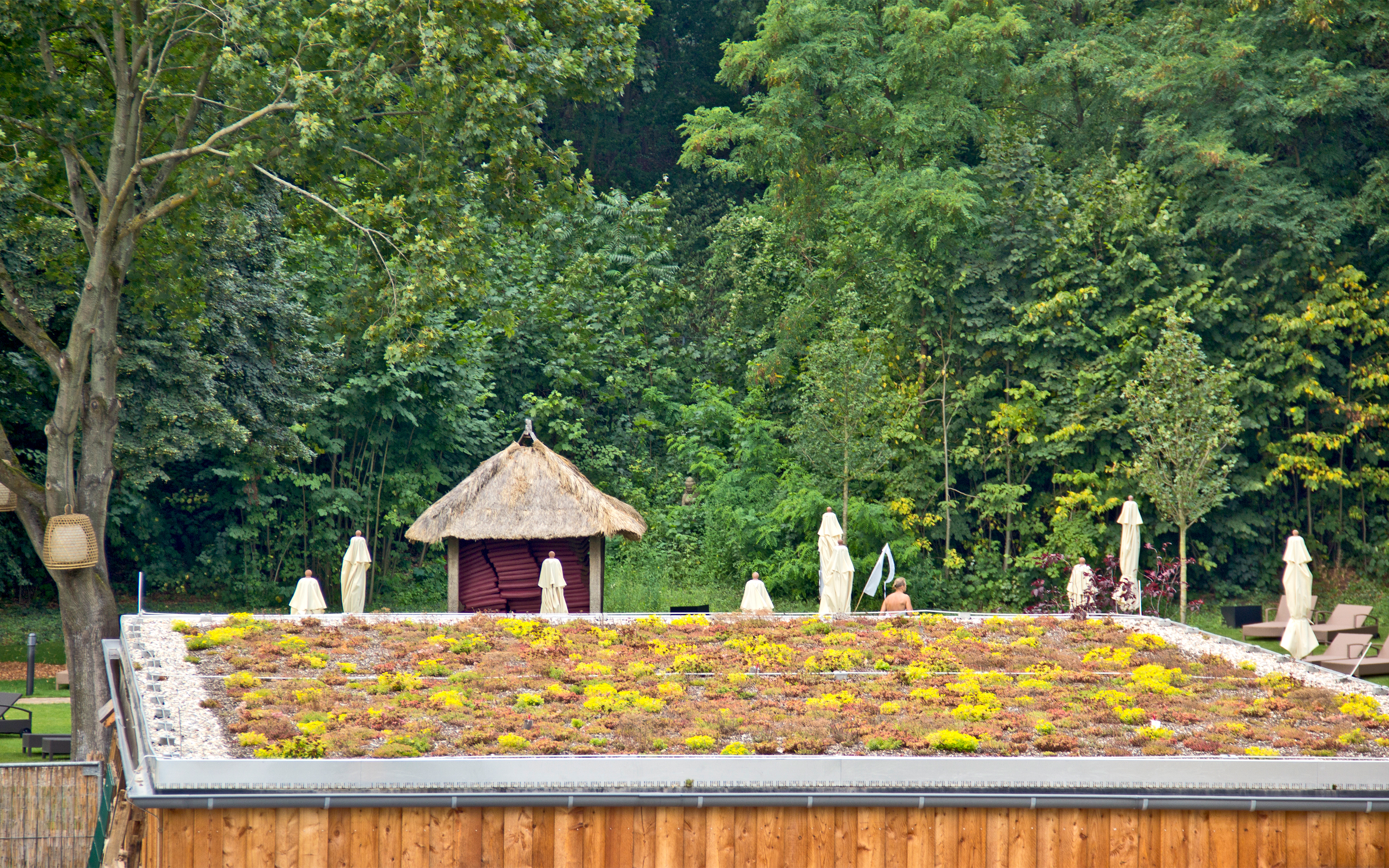 Kleingebäude mit extensiver Dachbegrünung