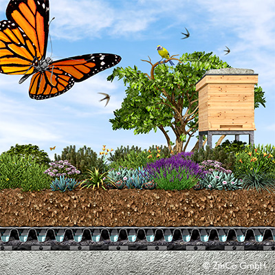 Zeichnung eines Gründachs mit Insektenhotel, Vögeln und Schmetterlingen