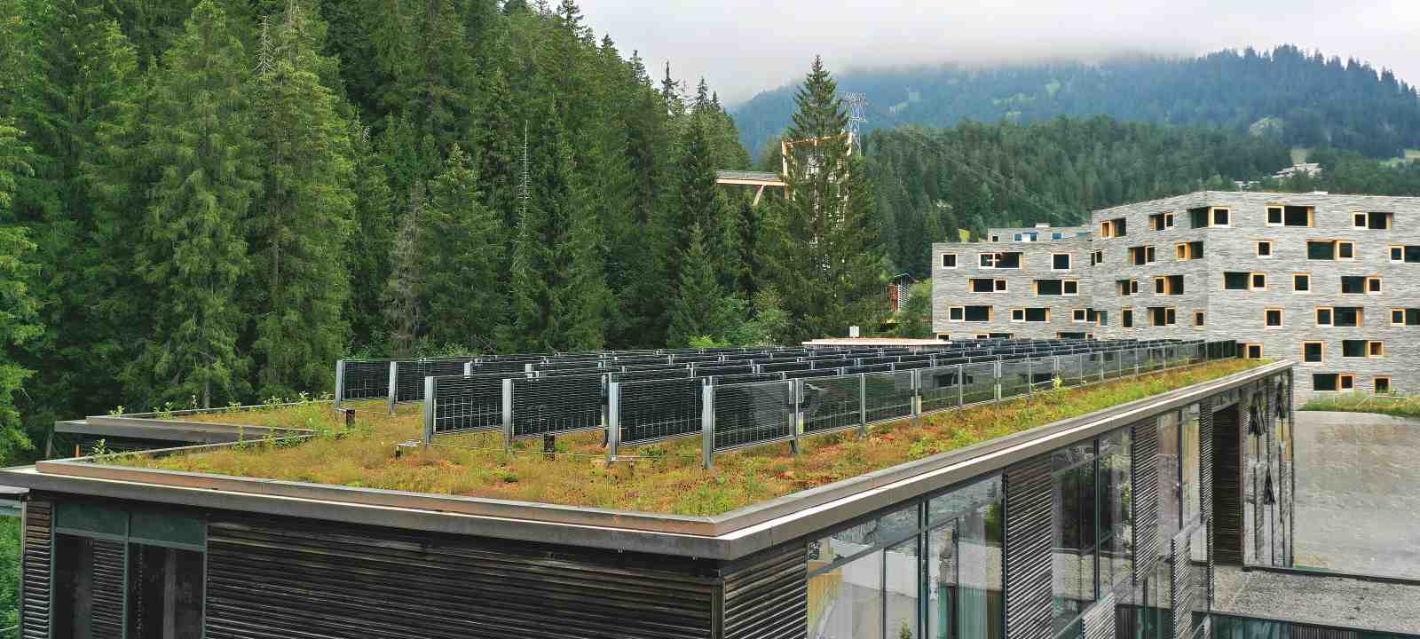 Gründach mit Solar in Vertikal-Anordnung