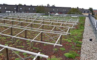 Neu bepflanztes Gründach mit Solaraufständerung