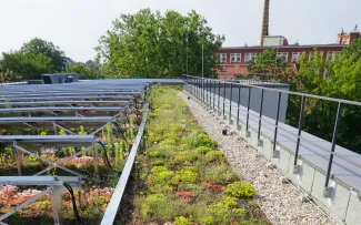 Gründach mit Solar und Geländer