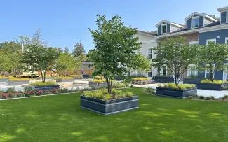 Rasen mit kleinen Bäumen