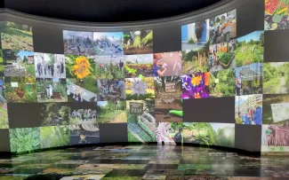 Präsentationswand mit Bildern