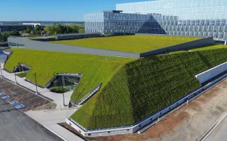 Begrüntes Schrägdach