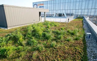 Begrünte Dachfläche