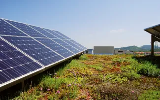 Dachbegrünung und Solar 