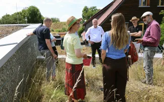 Gruppe von Personen auf einem Dachgarten