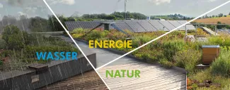 Gründach mit Solar und im Regen