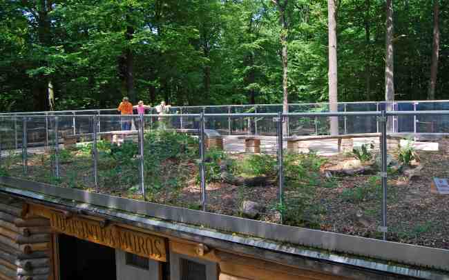 Besucherterrasse mit Geländer auf einem Holzpavillon