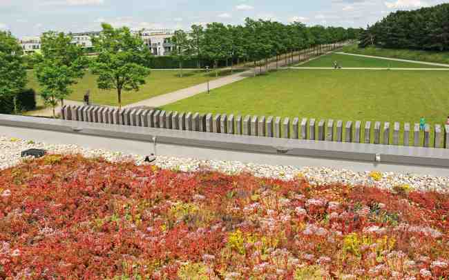 Extensiv begrüntes Dach in grüner Landschaft mit Wald und Wiesen